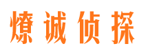 道里市调查取证